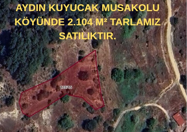 AYDIN KUYUCAK MUSAKOLU KÖYÜNDE 2.104 M² TARLAMIZ SATILIKTIR. - AYDIN KUYUCAK fotoğraf 4